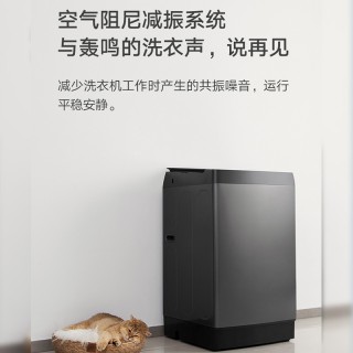 Стиральная машина Xiaomi -mijia с пульсатором 10 кг (XQB100MJ201)