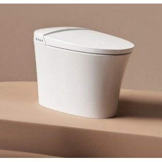Умный унитаз Xiaomi Diiib Antibacterial Smart Toilet 305mm (DXMT001-305) 